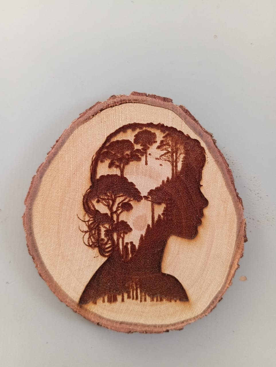 جزوع شجر - الصورة 2