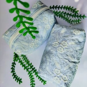 باوتش (منظم شخصي)